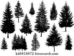 Silhouette of pine trees Silhouette of pine trees