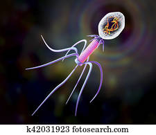 Bacteriophage on colorful background Bacteriophage on colorful background