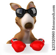 Fun kangaroo Fun kangaroo