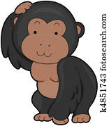 Gorilla Gorilla