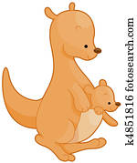 Kangaroo Kangaroo
