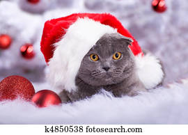 Noel Chat Banque D Image K Fotosearch