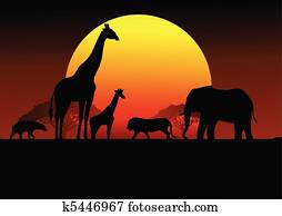 Safari africa silhouette Safari africa silhouette