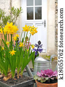 spring flowers spring flowers