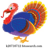 Turkey Turkey