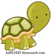 Turtle Turtle