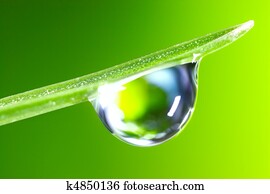 Water  Drop