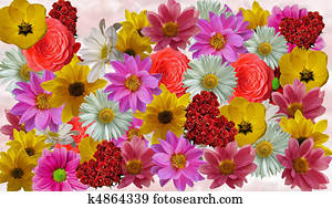 花 コラージュ テンプレート 5 クリップアート 切り張り イラスト 絵画 集 K Fotosearch