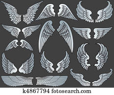 Angel Wings Angel Wings