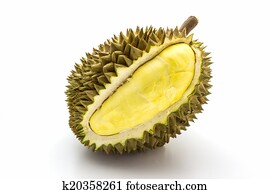 King of fruits, durian on white background.