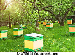 Apiary Apiary