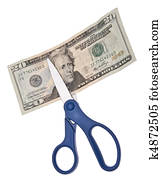 Budget Cut