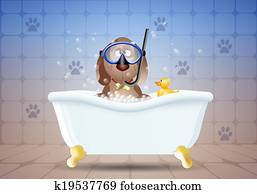 Dog in bathroom for grooming Dog in bathroom for grooming