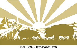 fazenda porco, cena