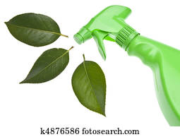 Green Cleaning
