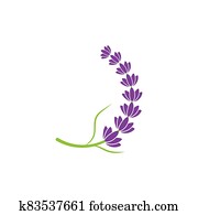 Lavender flower Vector icon illustration Lavender flower Vector icon illustration