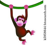 cute monkey cute monkey