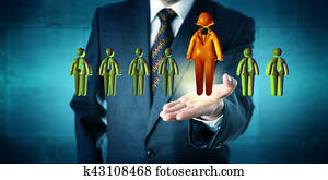 hr, directeur, promouvoir, les, seulement, femme, candidat