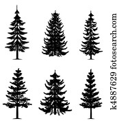 Pine trees collection Pine trees collection