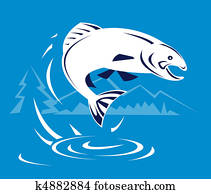 salmon jumping out of the water t salmon jumping out of the water t