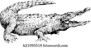 העבר, צייר, תנין