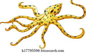 Blue-ringed octopus Blue-ringed octopus