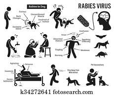rabies, virus, menschlich, tiere