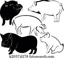 schwein schwein