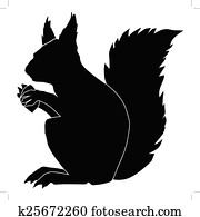 squirrel squirrel