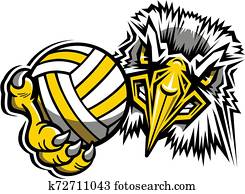 adler, volleyball adler, volleyball