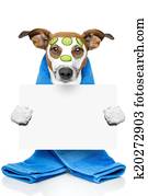 dog with a beauty mask dog with a beauty mask