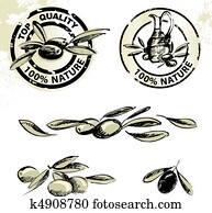 Olives and olive oil labels Olives and olive oil labels