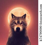 Wolf and the moon,3d illustration Wolf and the moon,3d illustration