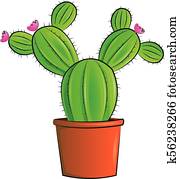 cactus cactus