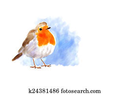 Robin Robin