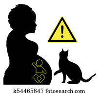 Toxoplasmosis during pregnancy Toxoplasmosis during pregnancy