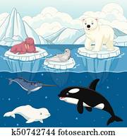 Cartoon wild arctic animal on north pole Cartoon wild arctic animal on north pole