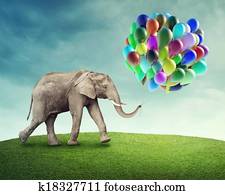 Elephant with balloons Elephant with balloons