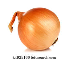 onion onion