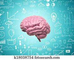 brain 3d brain 3d