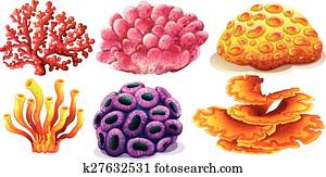 Coral reef Coral reef