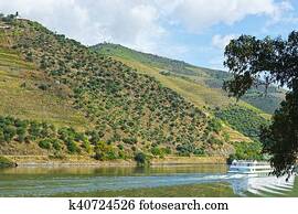 navio cruzeiro navio cruzeiro