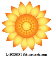 Sunflower. Sunflower.