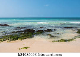  Clear water in Chaves beach Praia de Chaves in Boavista Cape Ve