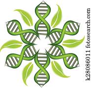 DNA Strands logo DNA Strands logo