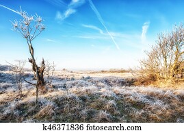 Dutch Coastal Feature