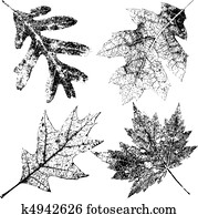 Four Grungy Fall Leaves Four Grungy Fall Leaves