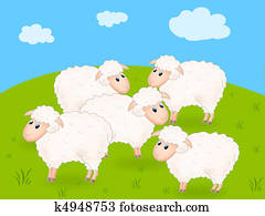 Sheep Sheep