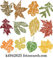 Twelve Grunge Leaves Twelve Grunge Leaves