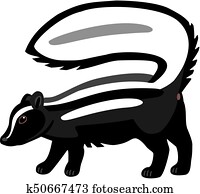 בואש *עם פסים